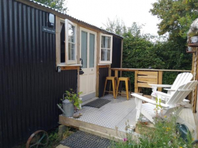 Mr Hares shepherd hut